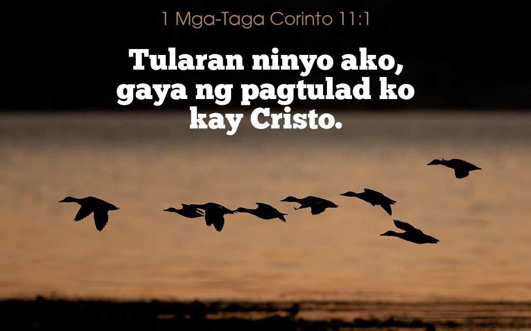 Gaya-Gaya, Puto Maya