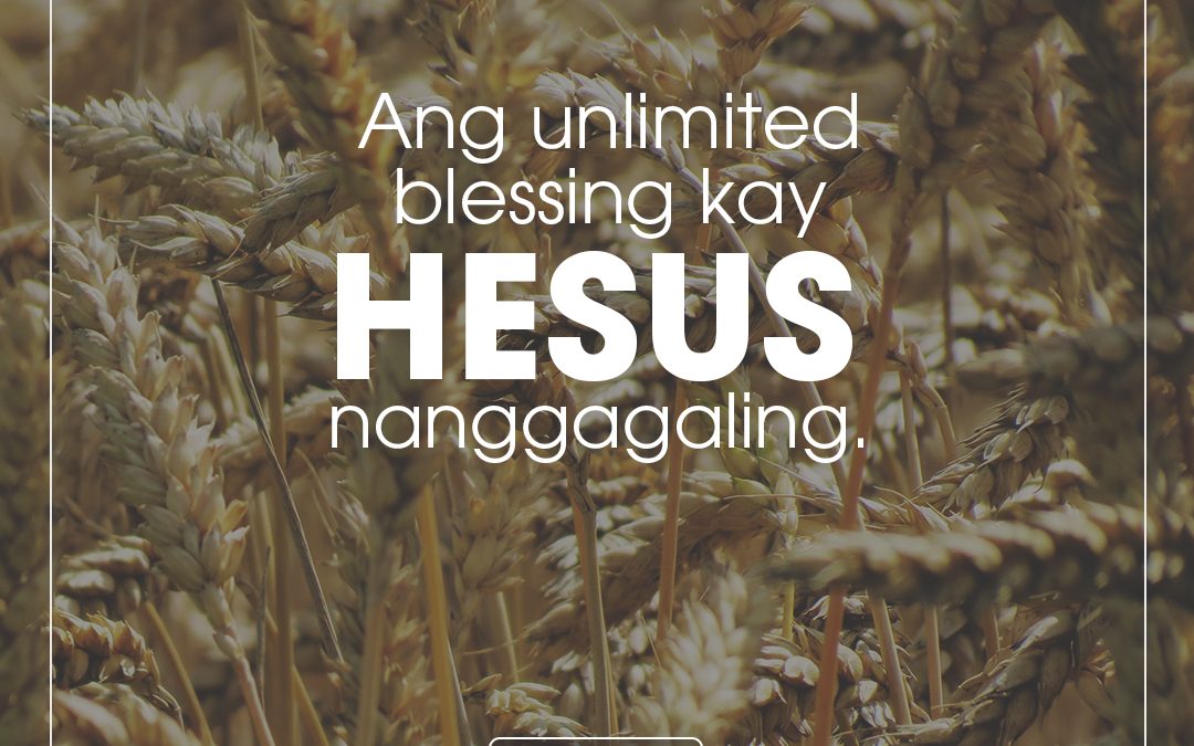 Don’t Miss the Blessings