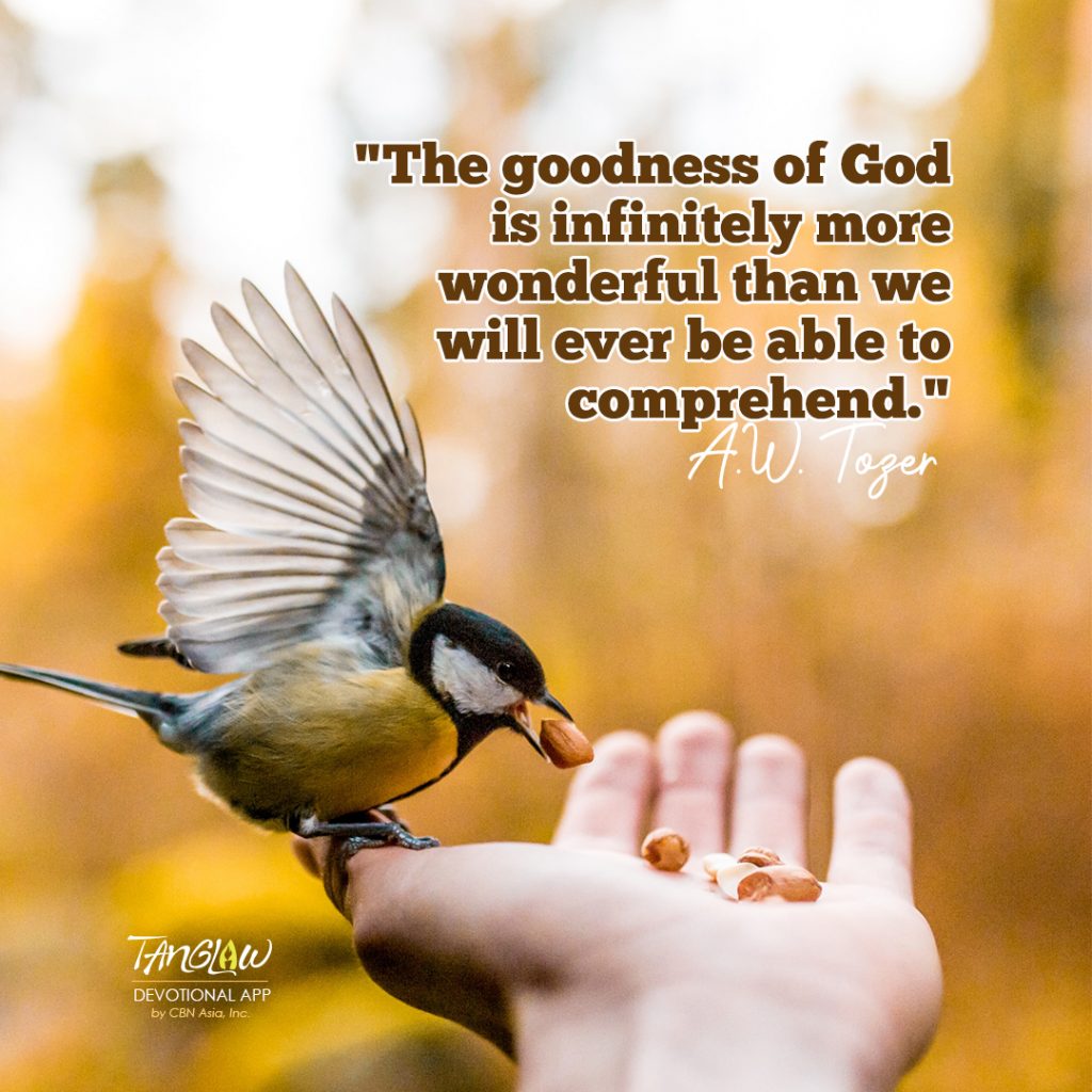 October 23 - See God’s Goodness