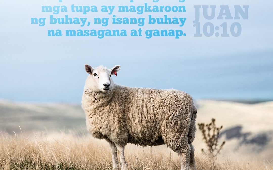 Your Past No Longer on Repeat