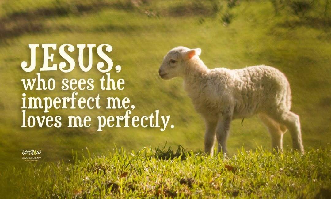 The Perfect Lamb
