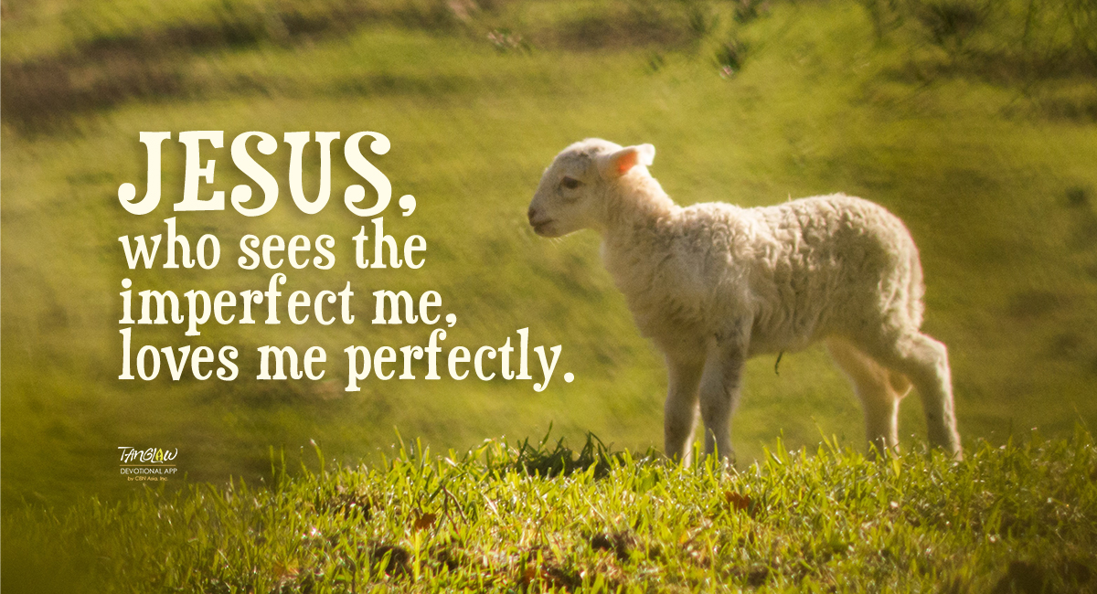 The Perfect Lamb