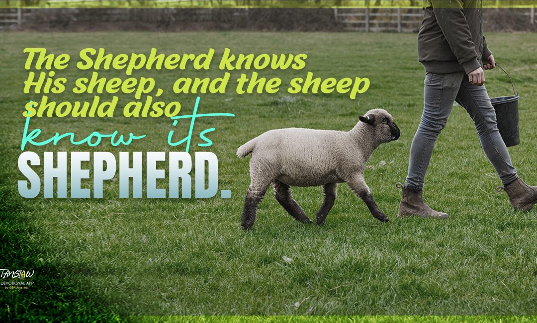 My Good and Faithful Shepherd