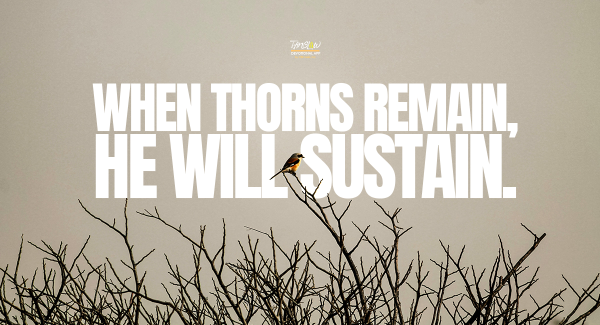 When Thorns Remain