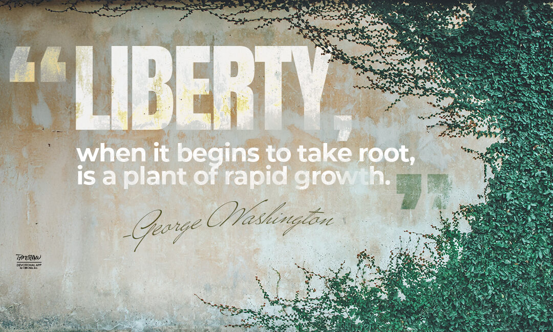 Freedom Is A Gift