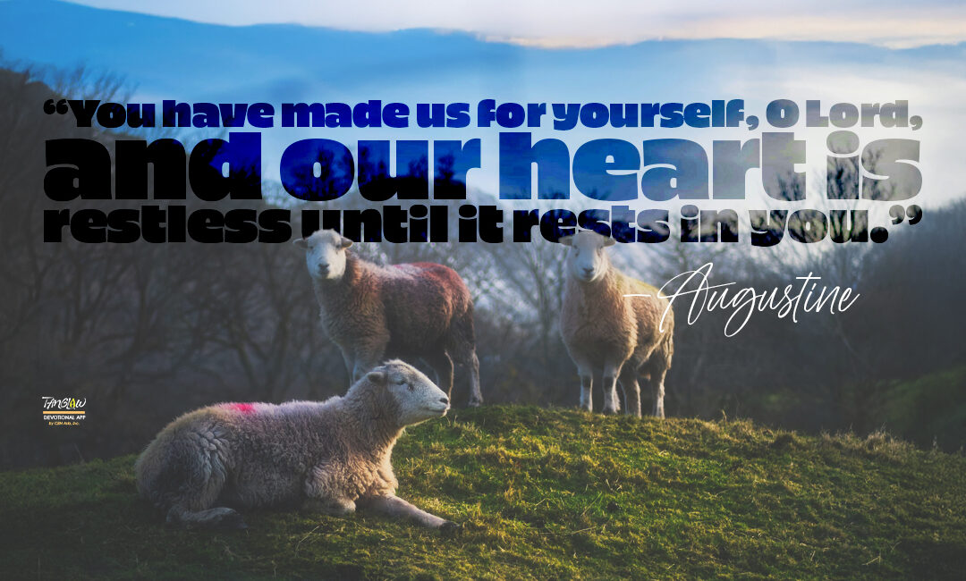 Listen to Your Conscience