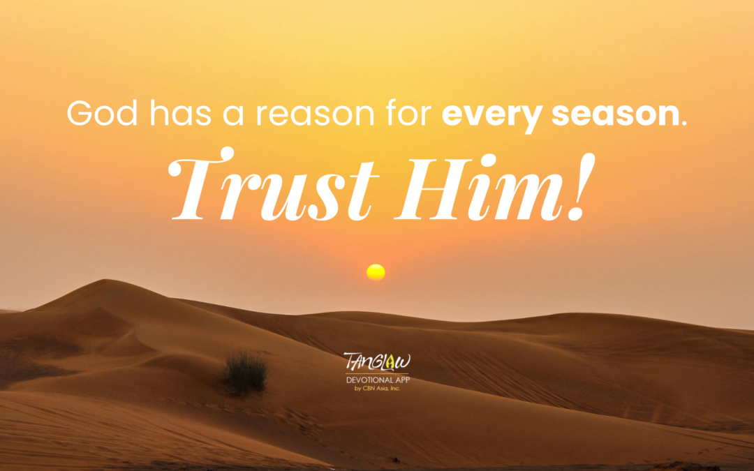 Braving the New Season