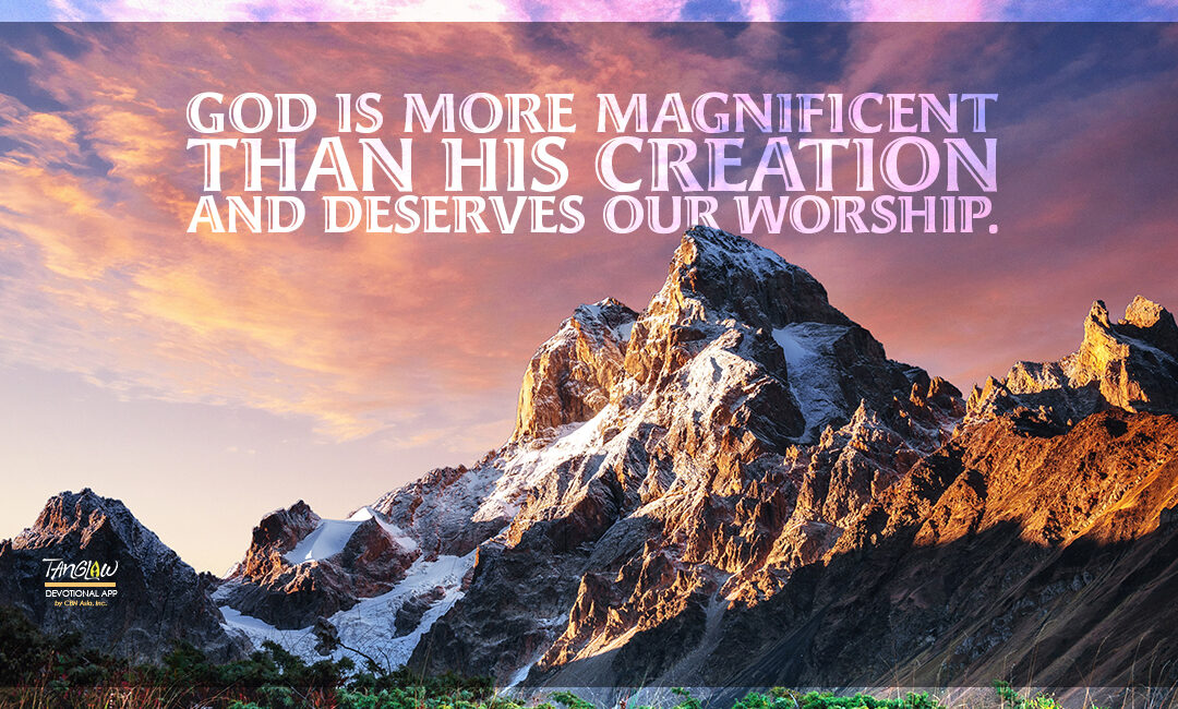 Worship the Creator, Not His Creation